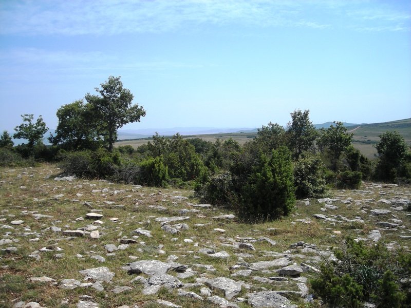 Larrola  tumulo de anillo