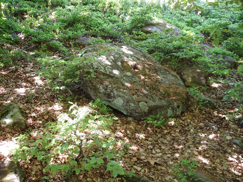 Errotarria Itursoro trikuharriaren ondoan.