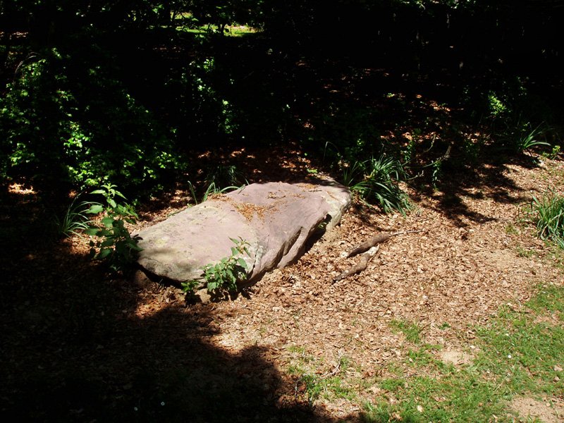 Motxorroko lepoko zutarria