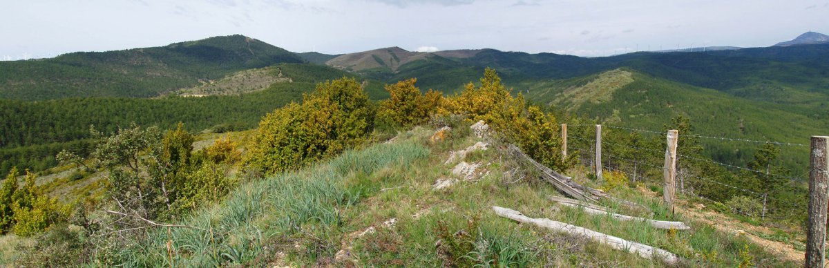 Rasuilgo gailurra (828m)