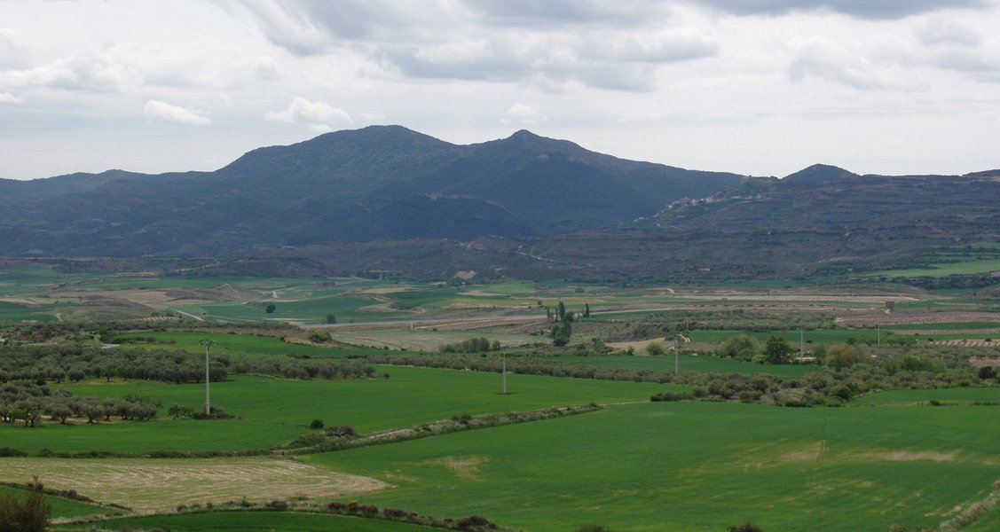 San Pedro ipar-medebaldetik