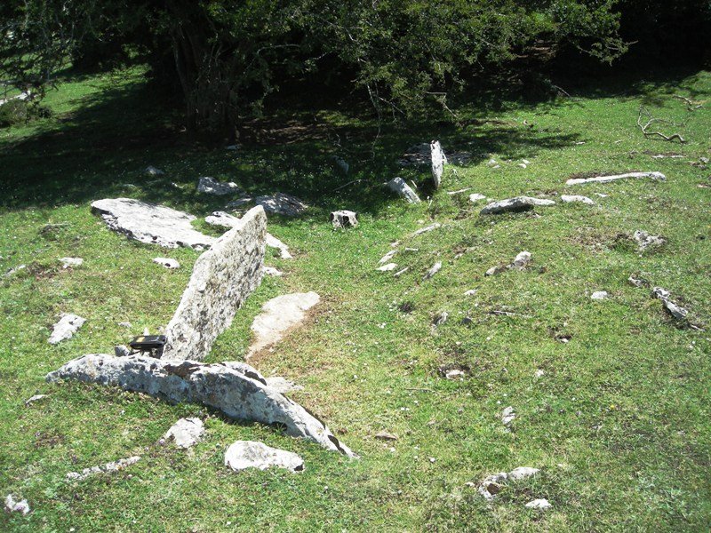 Saguain 1 trikuharria