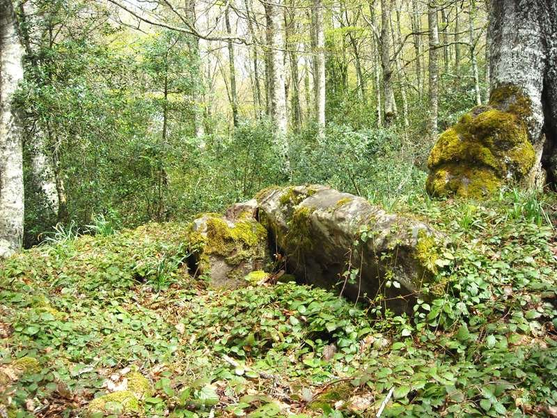 Añigurrita  trikuharria