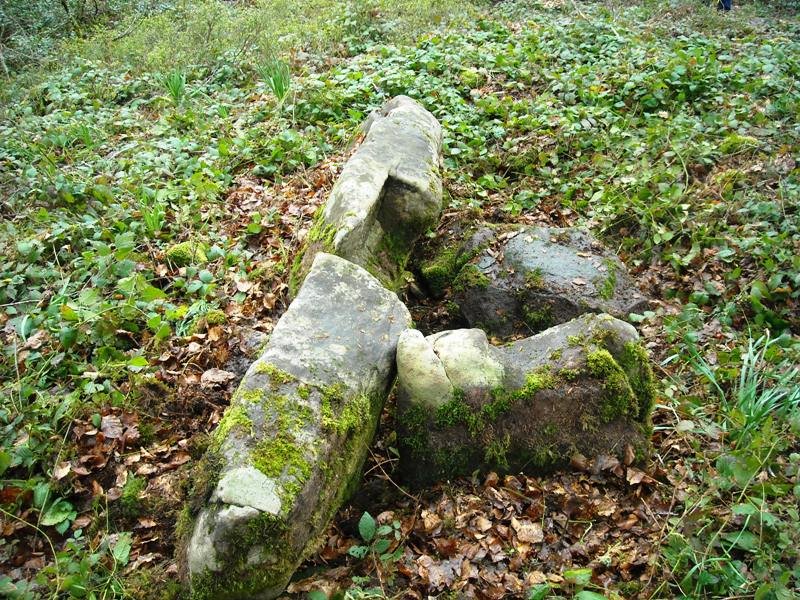 Añigurrita  trikuharria