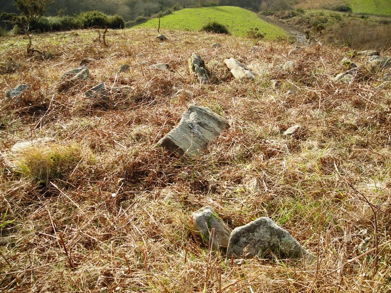 Galbario II  trikuharria