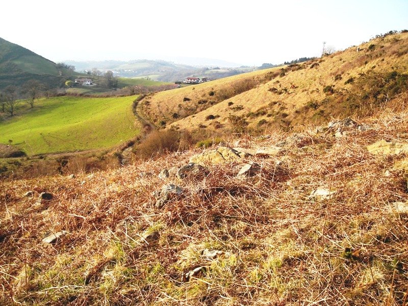 Galbario II  trikuharria