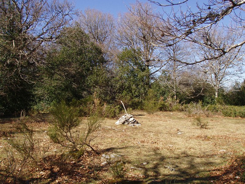 Bizkailuzko gailurra