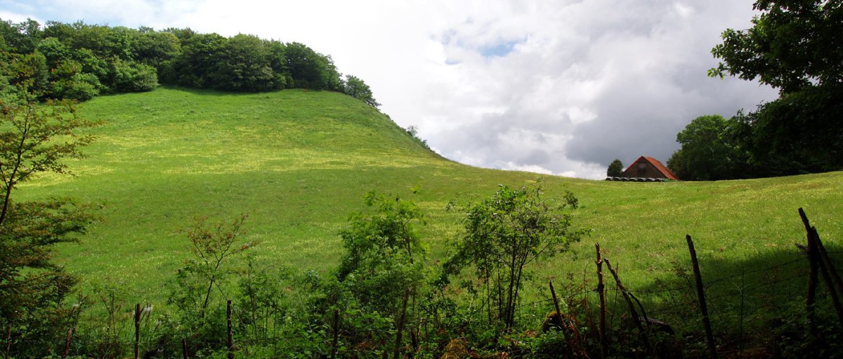 Iriarteko borda, Illarbeltz mendiaren ondoan.