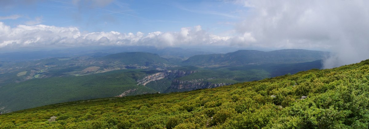 Arbaiungo arroila Arangoititik