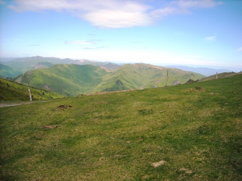 Murkuilako Lepoa harrespila