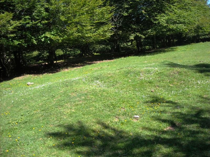 Menkain eremu tumularra