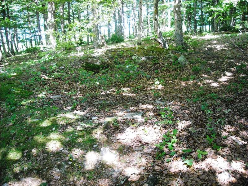 Korona mendebalde  1 trikuharria