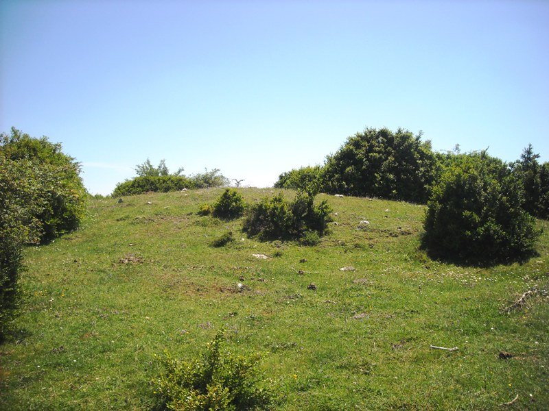 Zanaz  2  trikuharria