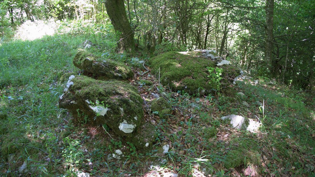 Zalantzazko argazkia