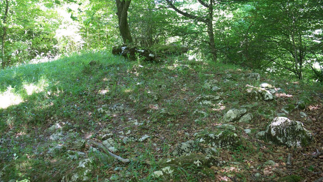 Zalantzazko argazkia