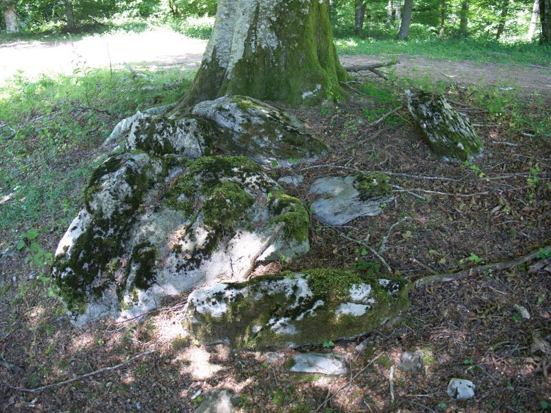 Zalantzazko argazkiak