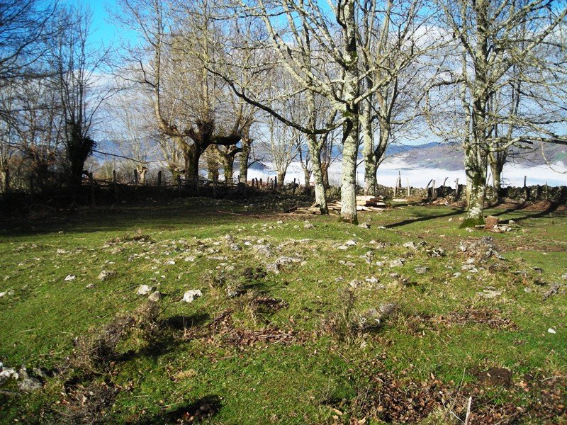 Etxebarrengo Borda  eremu tumularra