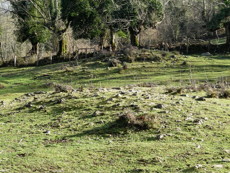 Etxebarrengo Borda eremu tumularra