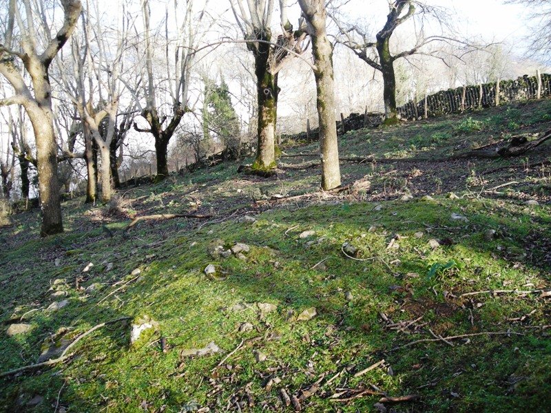 Indarteko  Borda eremu tumularra