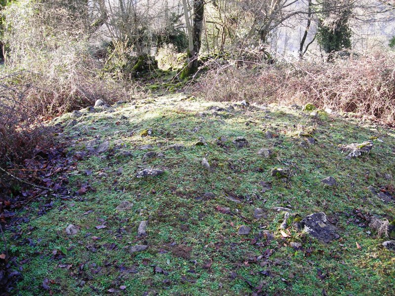 Indarteko  Borda eremu tumularra