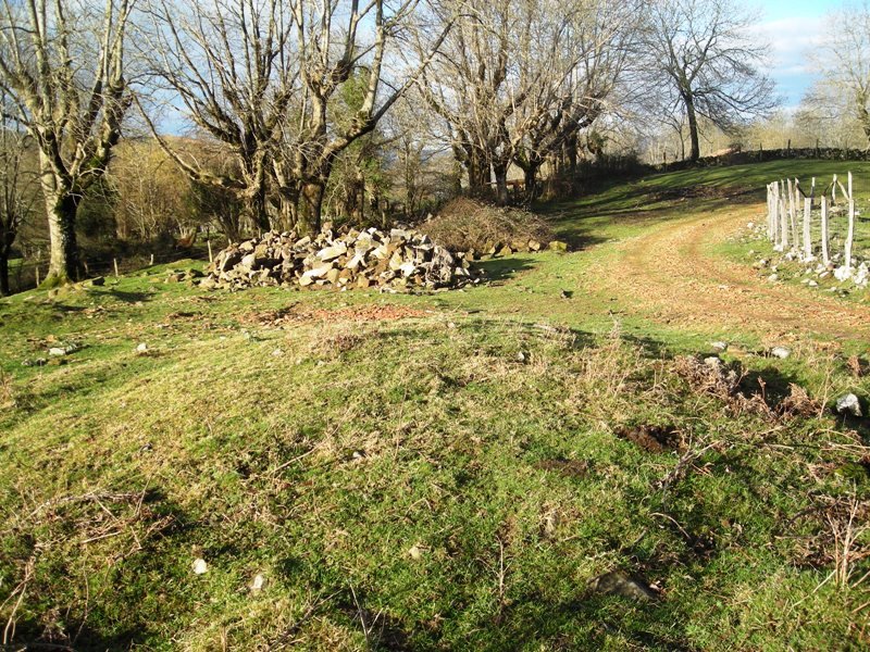 Agerretxeberriko Borda tumulua