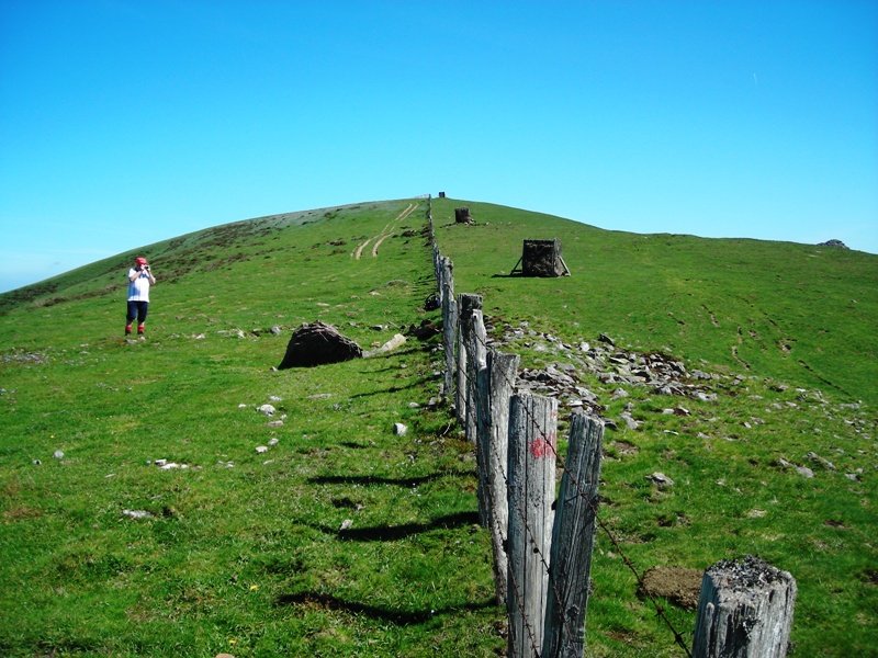 Uztanborro  trikuharria