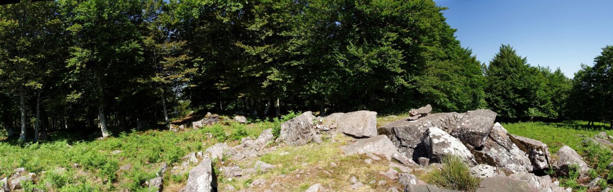 Goitiko Gaineko gailurra