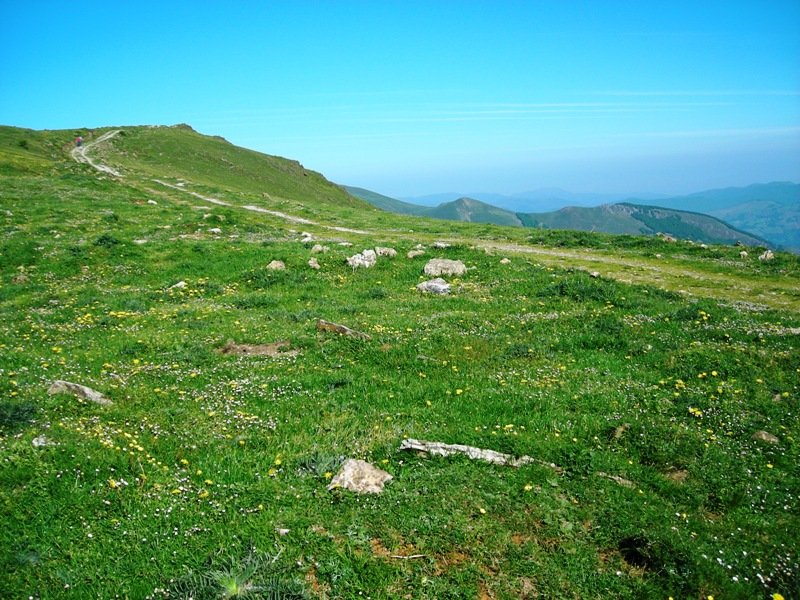 Gurutze Meaka harrespila