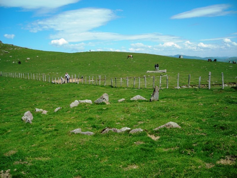 Luurzuko lepoa mend.  harrespìla