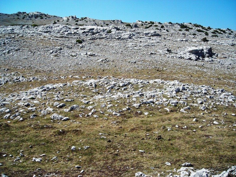 Peña Blanca trikuharria