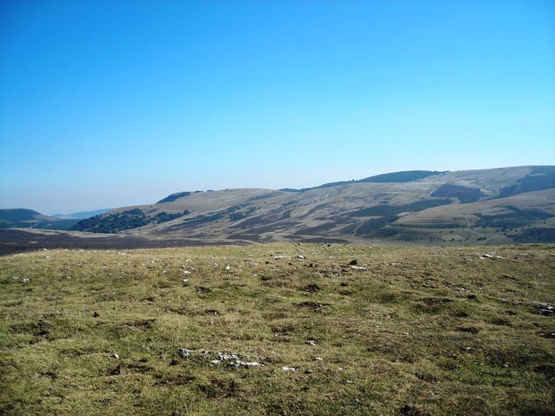 Elortxikia tumulo de anillo