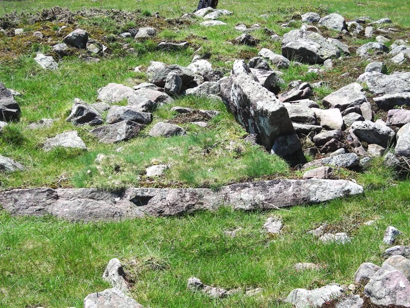 Luurzu 3 trikuharria