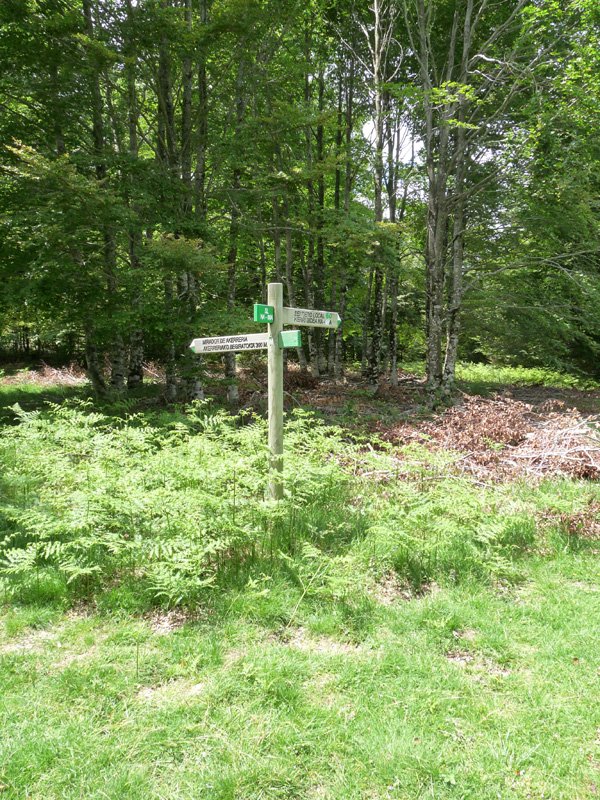 Akerreriako behatokiaren adierazgarria