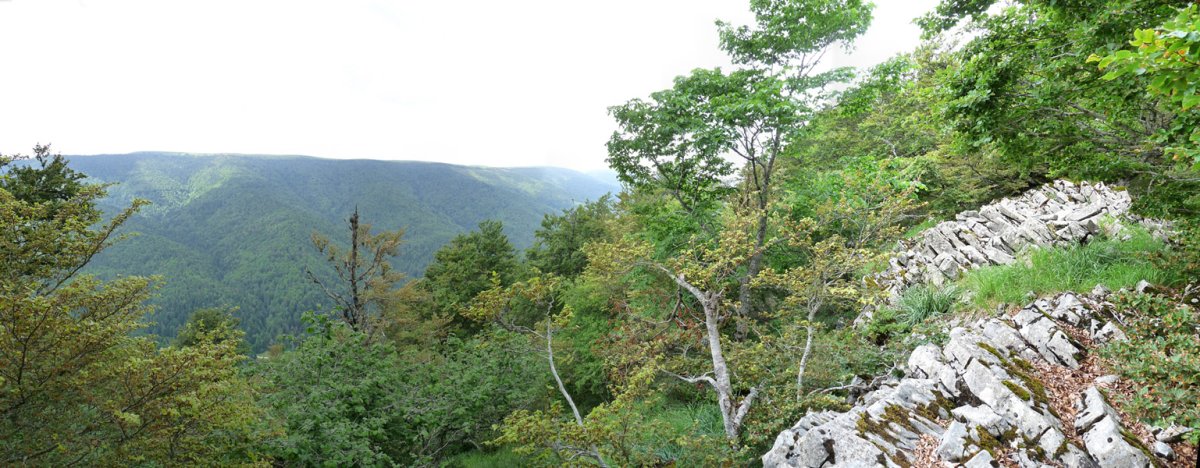 Ikuspegi mugatua Malgorrako gailurretik