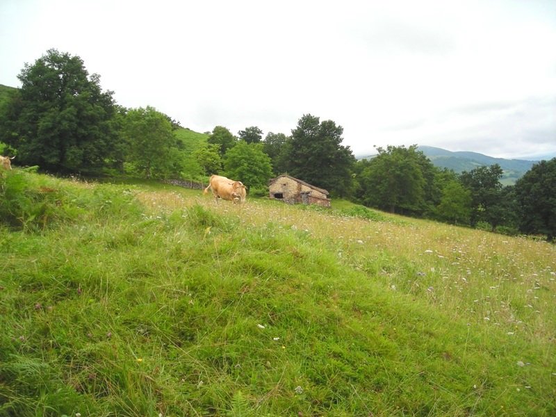 Munuxketa etxola hondoa