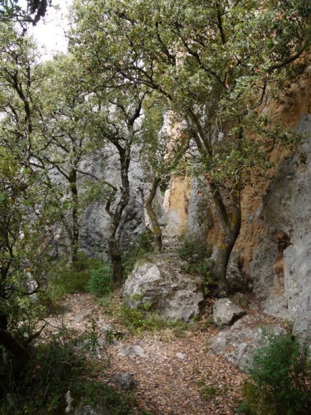 Lazkuako  begiratokikorako bidea