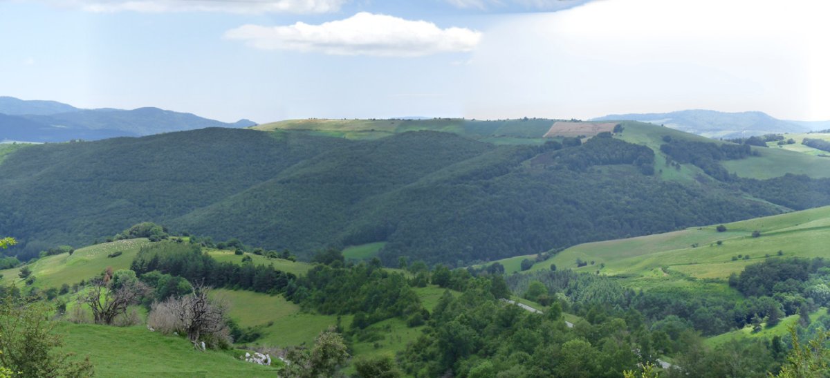 Udiko bizkar luzea Taplako mendatetik