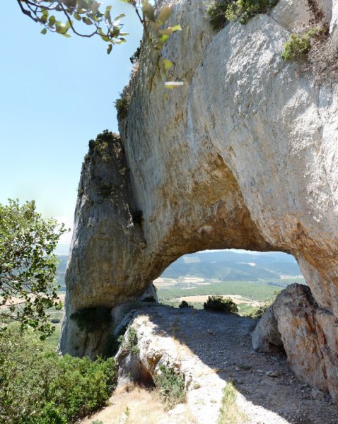 Harrizko zubia, bertatik bertara