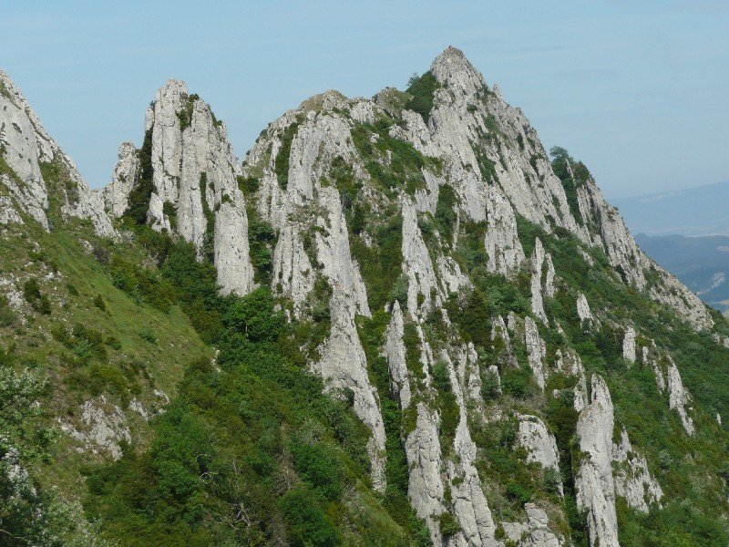 Larrasara Doan Bidetik