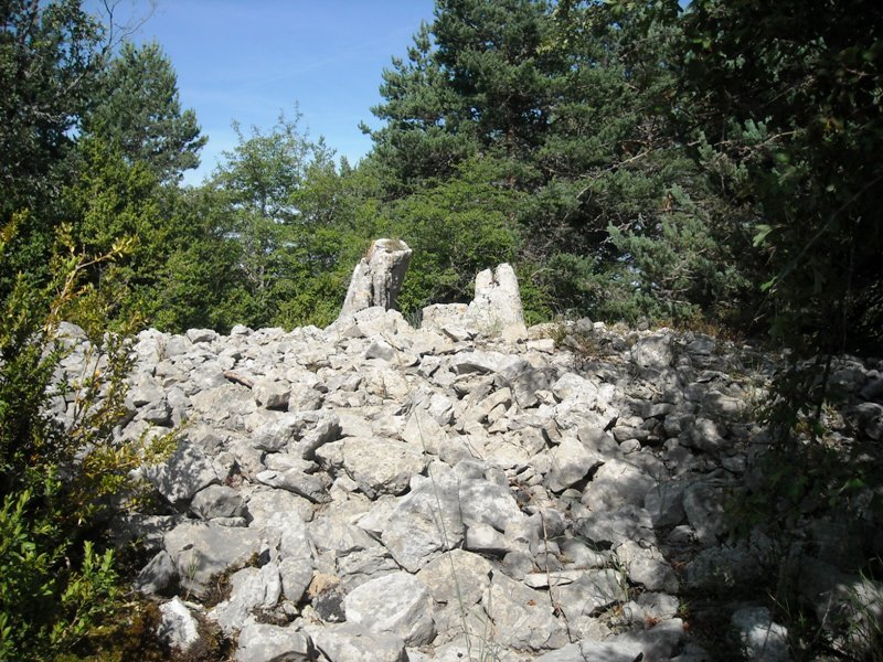 Sagarrana trikuharria