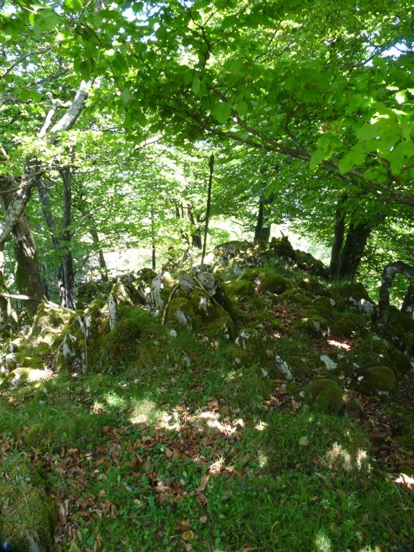 Arlengo Harriko iparraldeko gailurra