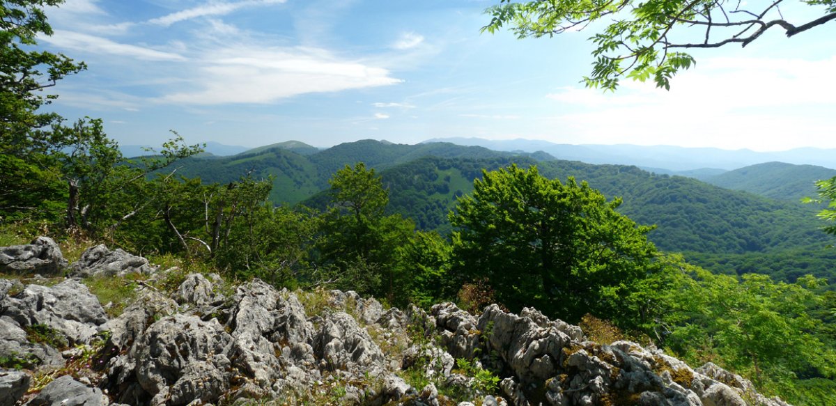 Panorama Arlengo Harriko iparraldeko gailurretik