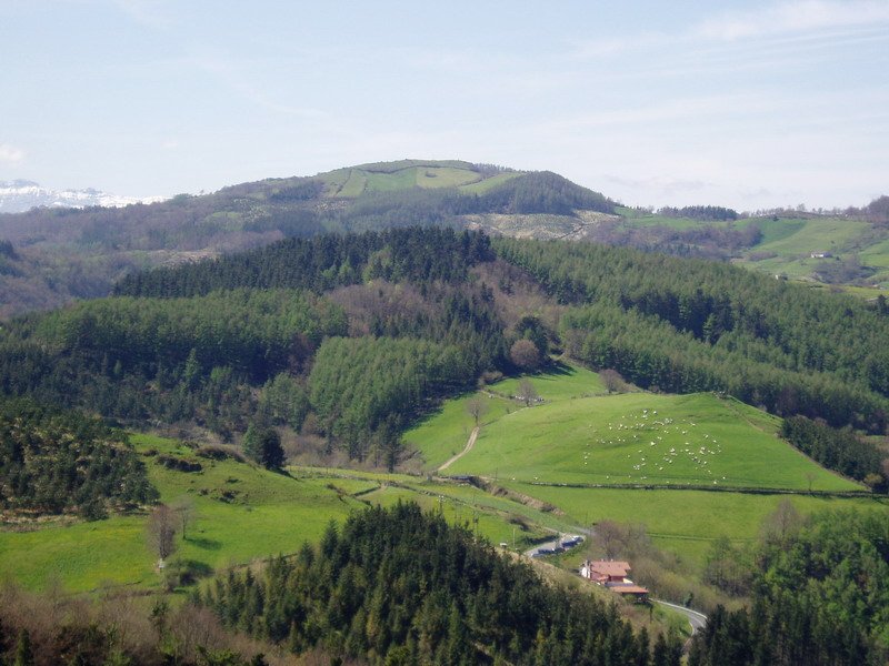 Illaun ipar-ekialdetik ikusita