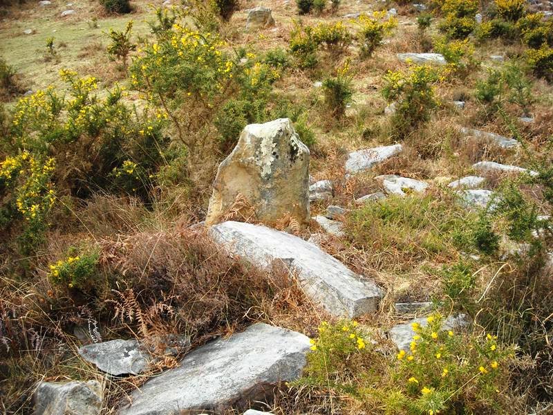 Gastenbakarreko Erreka 1