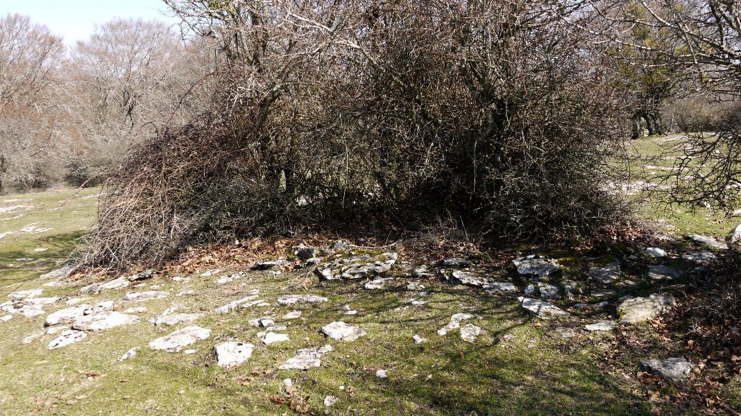 Sasiak jango du laster