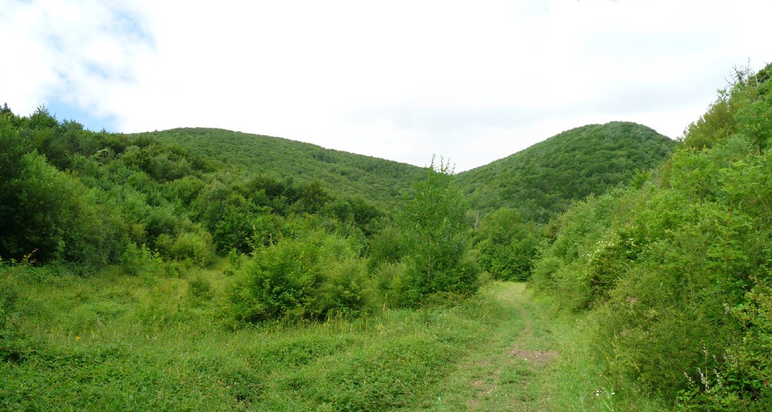 Ziaurritzko bidea, San Urbanora iritsi aurretik