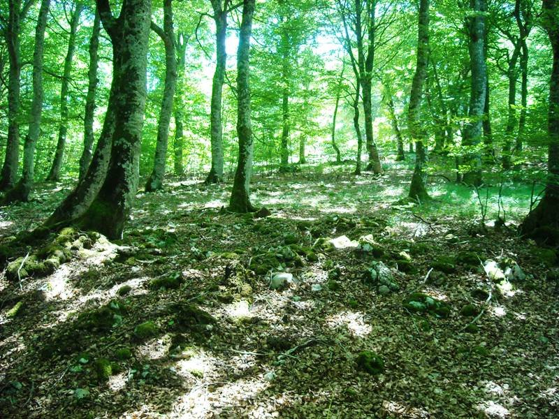 Puerto Viejo de Baquedano 2