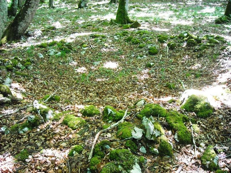 Puerto Viejo de Baquedano 2