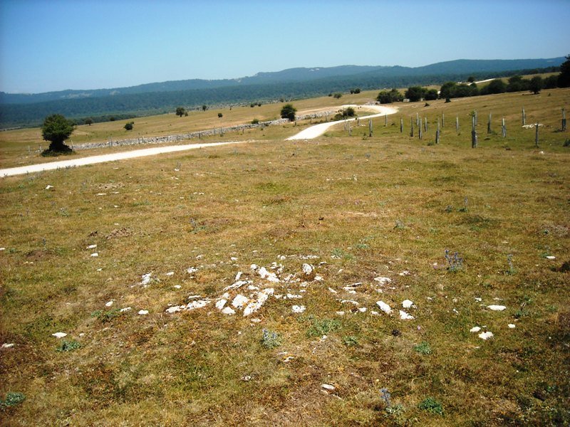 Camino de Arratondo hego