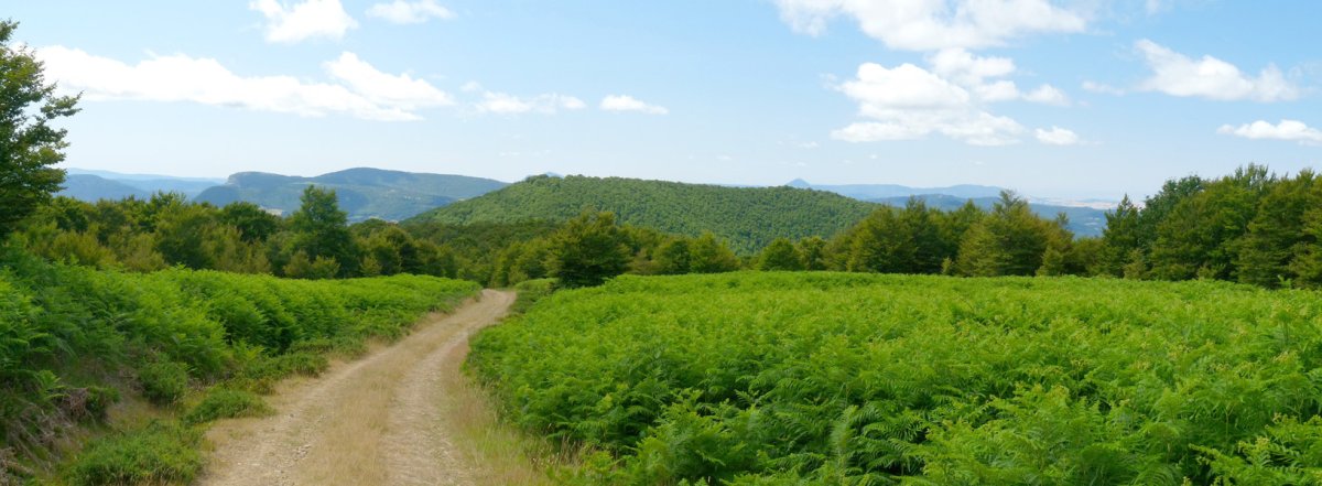 Egietako Gain Pilotasoroko bidetik